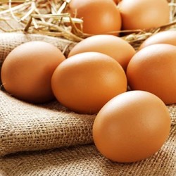 eggs